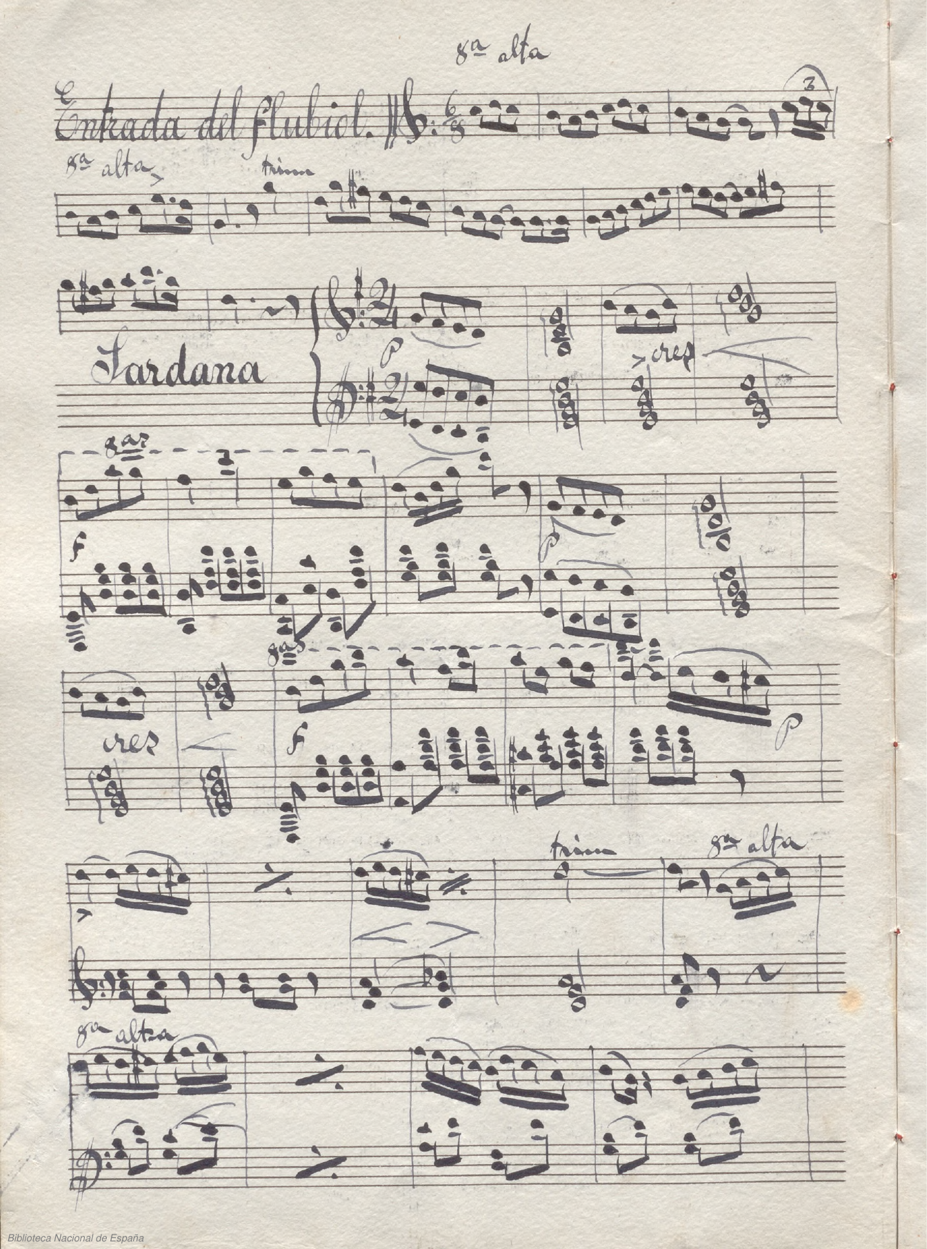 Handwritten music score manuscript
